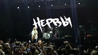 Нервы - Вороны (16.04.19 live @Velicano club, Khabarovsk)