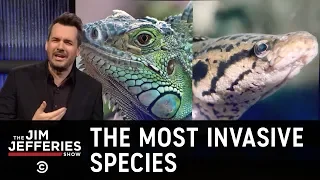 The Most Invasive Species of All - The Jim Jefferies Show