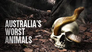 How to Survive Australia's Deadliest Animals
