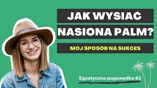 Jak wysiać nasiona palm - mój sposób na sukces | Egzotyczna pogawędka #2