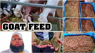 Goat Feed For Weight Gain by Silver Agro & Livestock Goat Farm