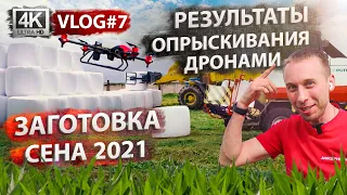 Заготовка сена 2021. Результаты опрыскивания полей дронами. VLOG #7