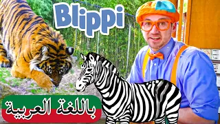 حلقة بليبي يزور حديقة الحيوانات و حوض أسماك | بلبي بالعربي | كرتون اطفال | Blippi Arabic