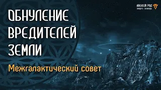 110. Обнуление вредителей Земли. Межгалактический совет (5 сеанс)