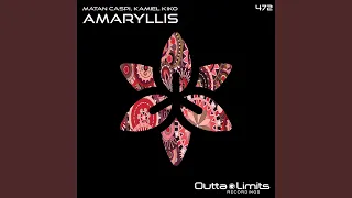 Amaryllis