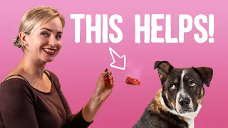 Simple trick to get your dog excited about eating