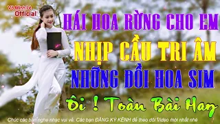 CẢ LÀNG SANG HỎI NHẠC GÌ HAY THẾ! - Liên Khúc Nhạc Rumba Xưa Hái Hoa Rừng Cho Em - Nhịp Cầu Tri Âm