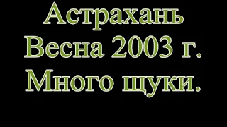 Астрахань весна 2003 г  Обловились щуки