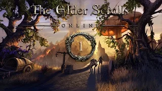 The Elder Scrolls Online: Tamriel Unlimited (Ebonheart Pact) Cutscenes Movie/Story Walkthrough 1/3