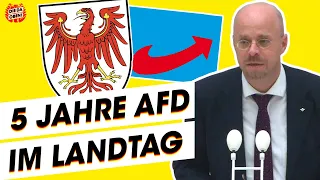 AfD in Brandenburg: Das hat sie geleistet!