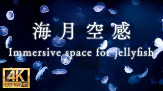 【4K】Immersive space for jellyfish, the Aquascape of Sunshine Aquarium in Tokyo Japan