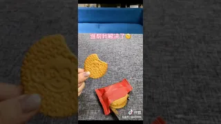 Tik Tok Chó phốc sóc mini Funny and Cute Pomeranian Videos #195