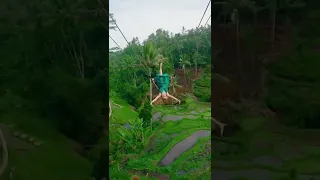 Swinging through life like💃✨.. Bali