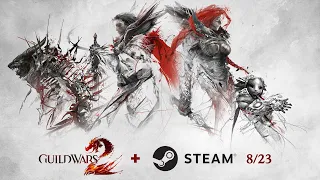 Guild Wars 2 is coming to Steam