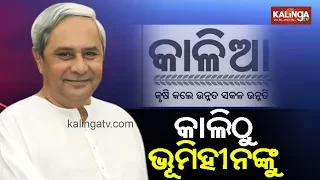 Odisha Govt to disburse KALIA aid to landless farmers tomorrow at Kendrapada | Kalinga TV