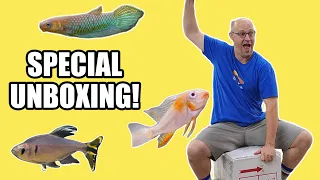 Live Fish UNBOXING and Watch how we MEDICATE new arrivals!