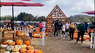 Cal Poly Pumpkin Fest 2022