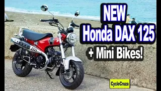 NEW Honda DAX 125 vs Navi vs Grom vs Z125 & Mini Moto Mini Bikes