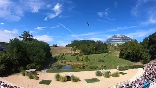 Les Maîtres des Airs, ZooParc de Beauval