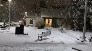 Snowfall in Carson City NV 12/10/2022 at 7pm