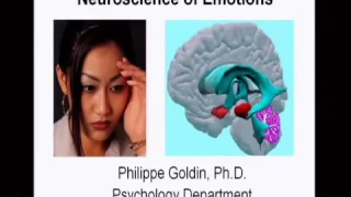 The Neuroscience of Emotions. Phillippe Goldin (2008)
