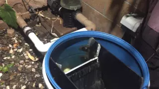 DIY Koi Pond Sieve Filter