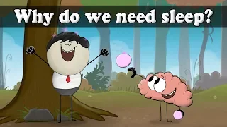 Why do we sleep? | #aumsum #kids #science #education #children