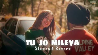 JUSS - Tu Jo Mileya (Slowed & Reverb) MixSingh | New Punjabi Romantic Song 2024