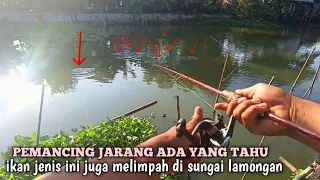 rombongan ikan‼️kalau menjumpai pergerakan ikan seperti ini cepat cepat lemparkan umpan anda