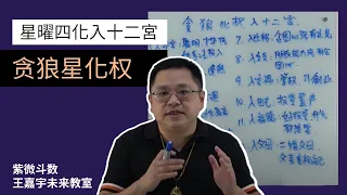 【星曜四化】贪狼星化权入十二宫｜王嘉宇未来教室