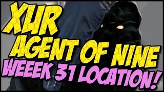 Xur Agent of Nine! Week 31 Location, Items and Recommendations!