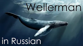 Wellerman (Sea Shanty) - cover in Russian (ft. @orangeinahat7458) | Веллерман - кавер на русском