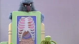 Sesame Street: What's Inside Herry?