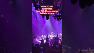 Down With Disease opener! behind the stage 🐟 #phish #madisonsquaregarden #yemsg