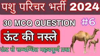 ऊंट की नस्ले || पशु परिचर भर्ती 2024 || pashu parichar important question answer ||