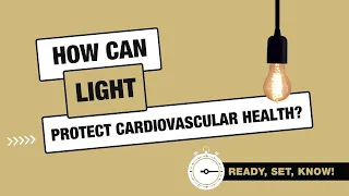 How can light protect cardiovascular health?