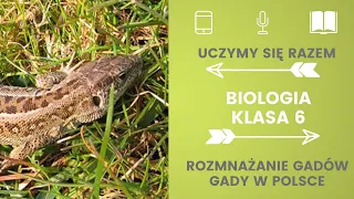 Biologia klasa 6. Rozmnażanie się gadów. Gady w Polsce. Uczymy się razem