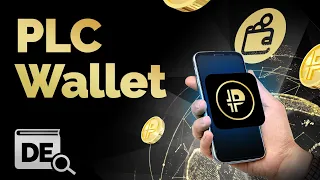 Was ist eine PLC Wallet?