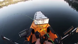 Lake Goodwin Rainbow Trout Hobie Pro Angler 14 9/25/2021