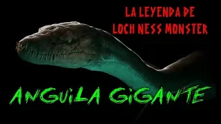 LOCH NESS MONSTER: Anguila Gigante|Criptozoologa|Terror