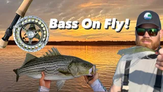 Fly fishing Mayhem!! Chasing Striped Bass in the smallest province of Canada, Prince Edward Island!!