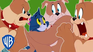 Tom y Jerry en Latino | Lo mejor de Spike y Tyke | WB Kids