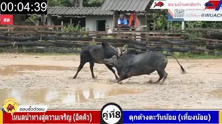 โหนดนำทางสู่ความเจริญ อิกคิวvsดุกด้างตะวันน้อย เที่ยงน้อย