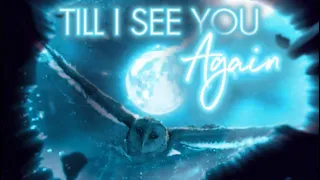 TILL I SEE YOU AGAIN - EPIC Ani Mash