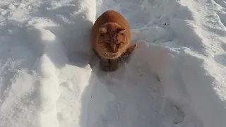 Зимуем,  по воскресеньям баня.