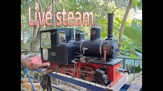 Locomotiva alemã Krauss Live Steam