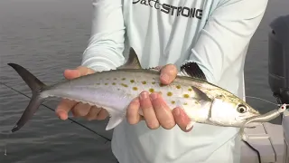 Easy Way To Catch INSHORE Fish From A Big Boat Without A Trolling Motor