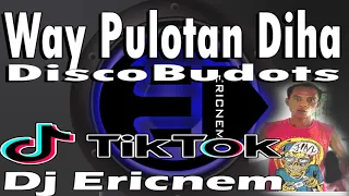 Wah!Way Pulotan Diha / DiscoBudots / Ericnem Balod2x Mix