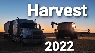 Harvest In Saskatchewan Canada 🇨🇦 2022