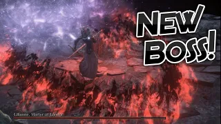 Dark Souls 3: The Best New Boss Created So Far! (Convergence Mod Part 15)